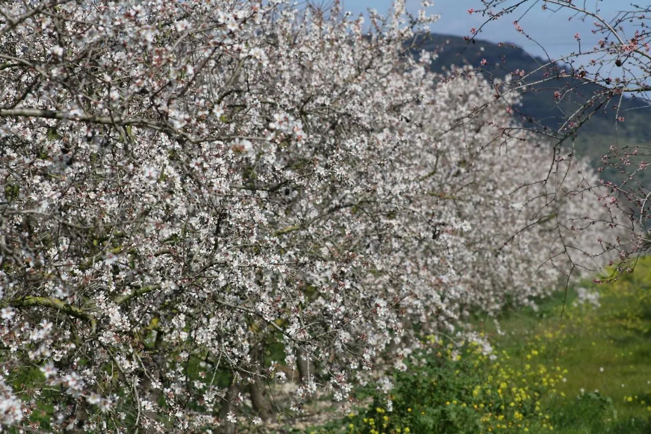 Prázdninový dům 511 Finca Sion Etv11165 By Mallorca Charme Binisalem Španělsko
